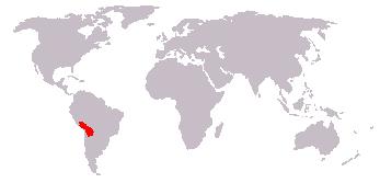 A map showing where alpacas live in South America.