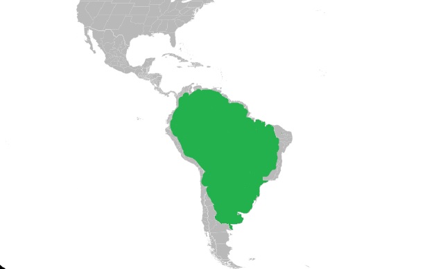 A map showing where anacondas live in South America.