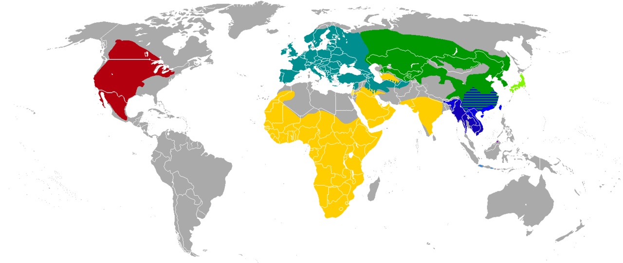 A map showing where badgers live around the world.