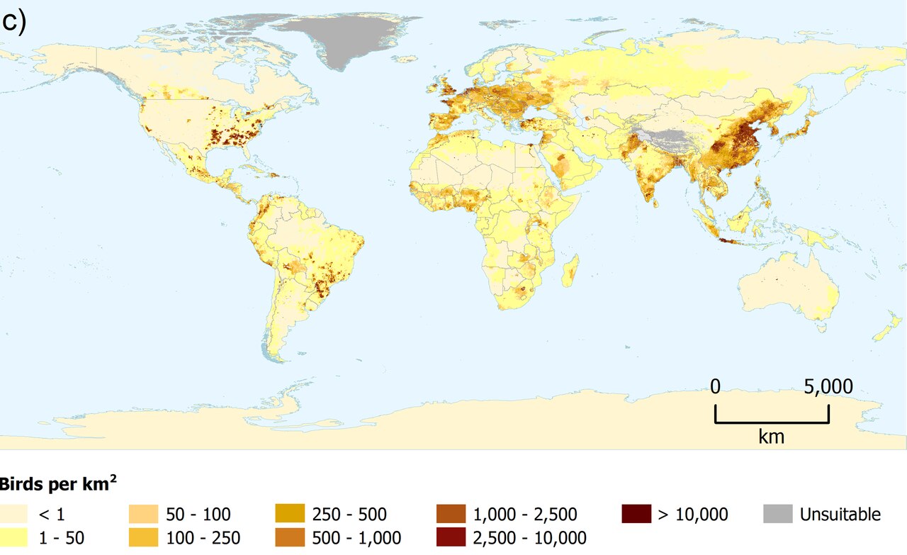 A map showing where chickens live around the world.