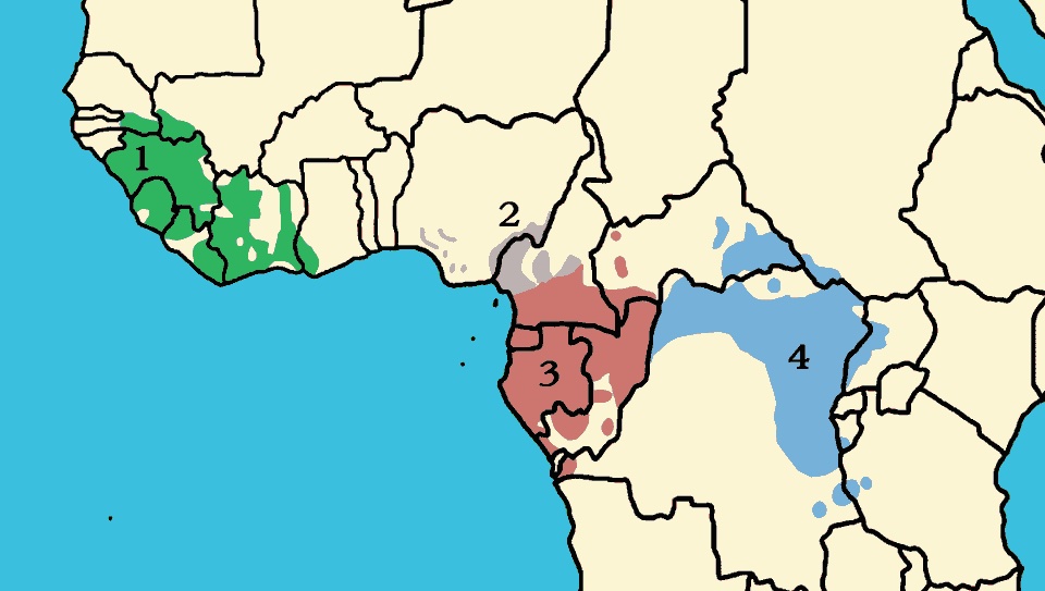 A map showing where chimpanzees live in Africa.
