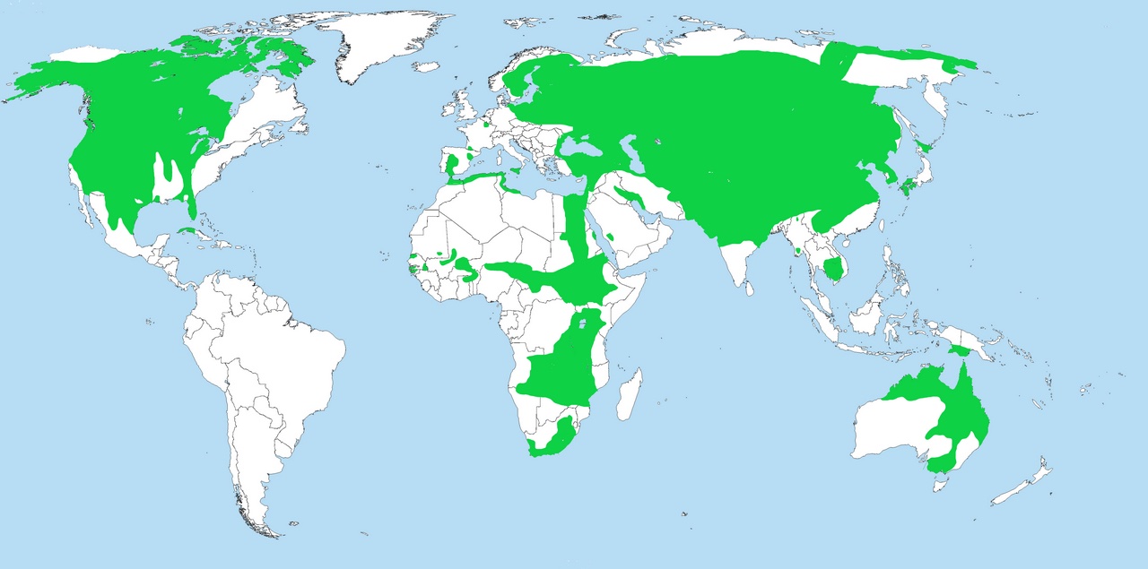 A map showing where cranes live around the world.