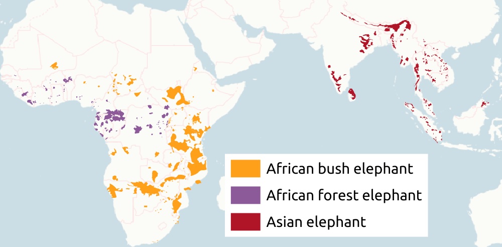 A map showing where elephants live around the world.