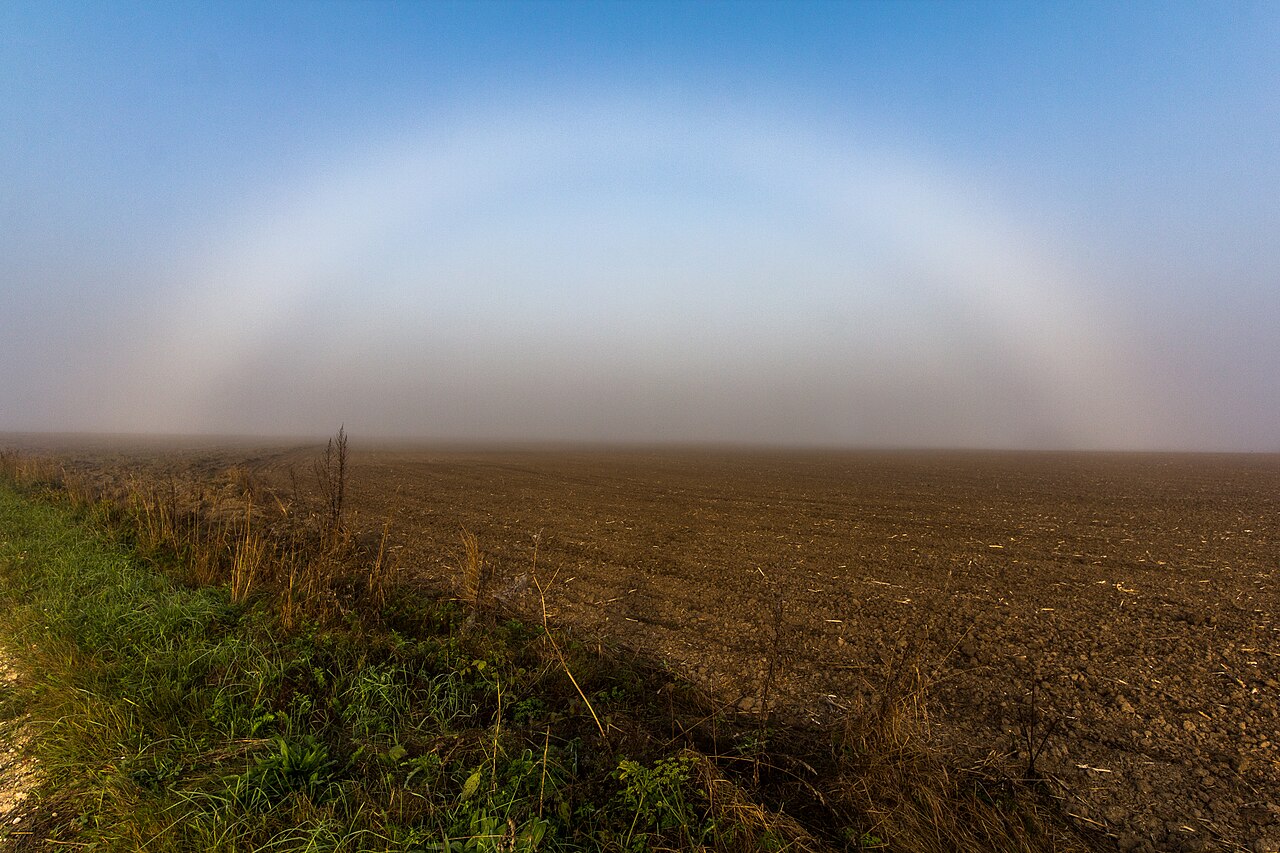 Fog Bows