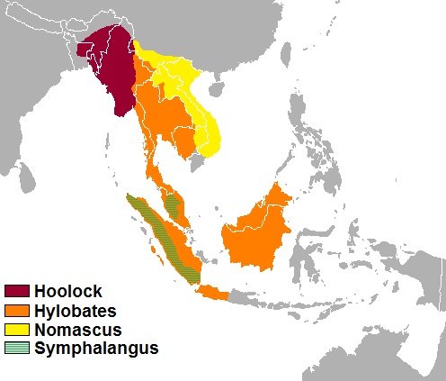 A map showing where gibbons live in Asia.