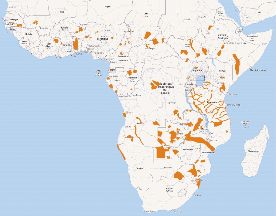 A map showing where hippos live in Africa.