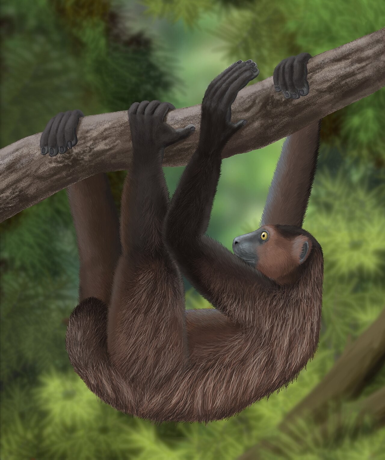A drawing of an extinct lemur that lived long ago.
