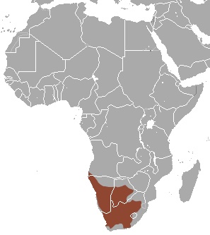 A map showing where meerkats live in Africa.