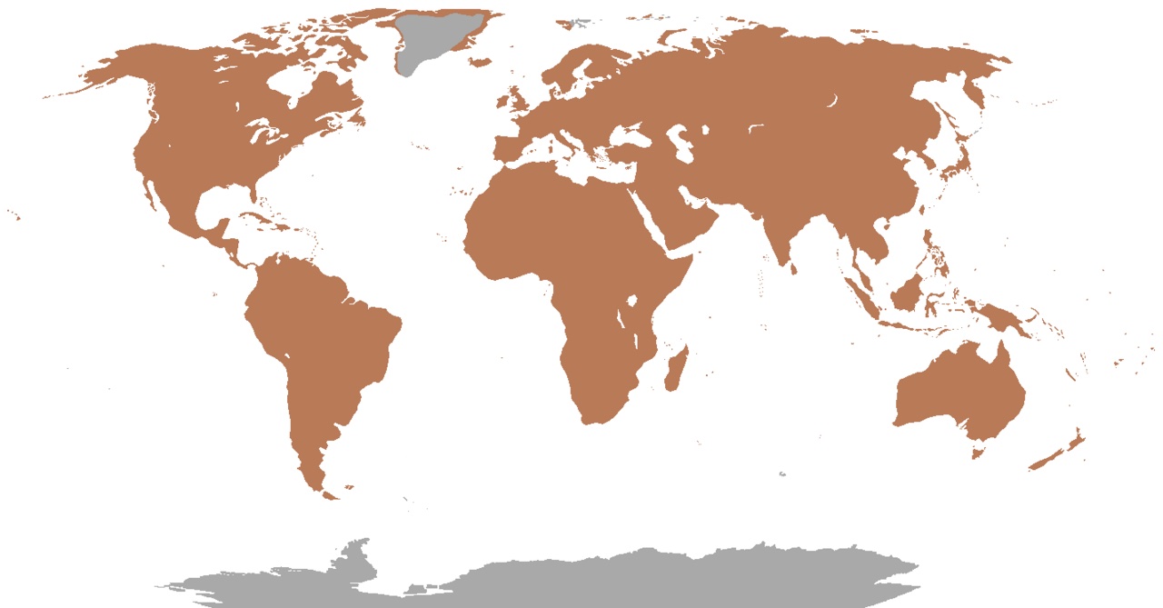 A map showing where owls live around the world.