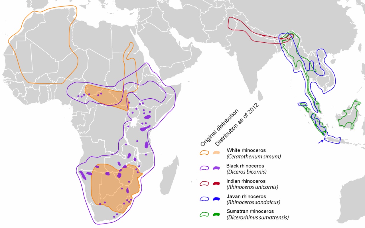 A map showing where rhinos live around the world.