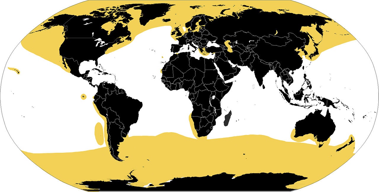 A map showing where seals live around the world.