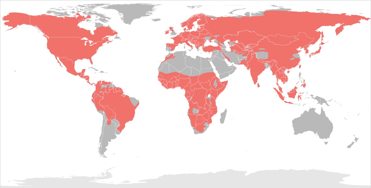 A map showing where squirrels live around the world.