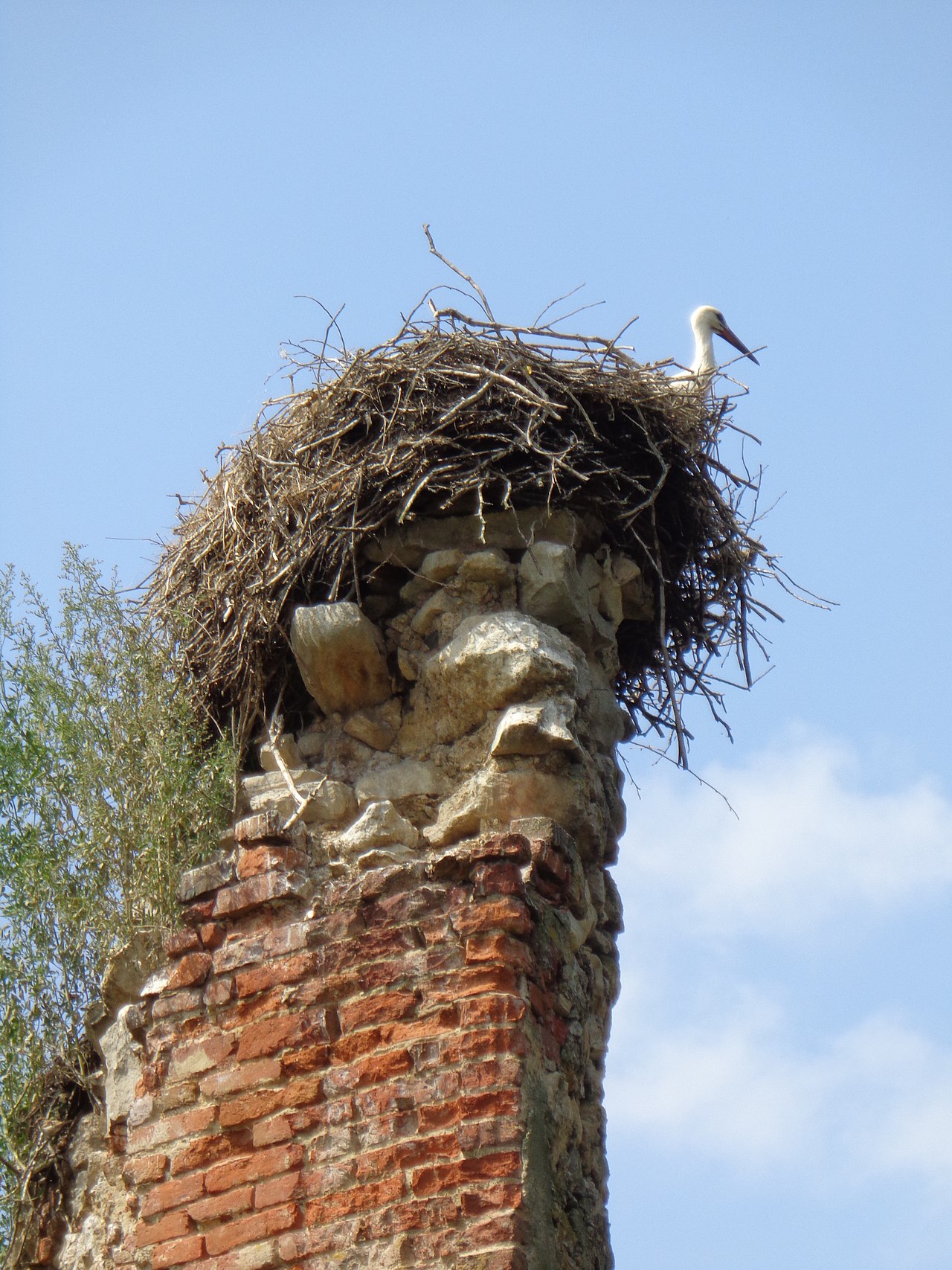 A stork sitting in its big nest on top of a castle.