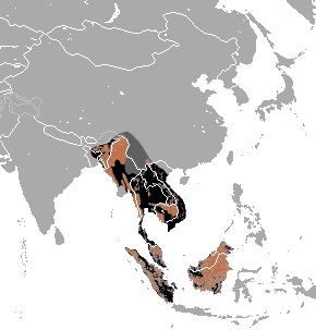 A map showing where sun bears live in Asia.