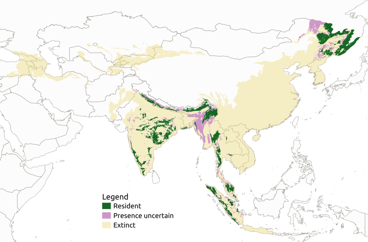 A map showing where tigers live in Asia.