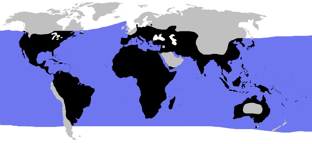 A map showing where turtles live around the world.