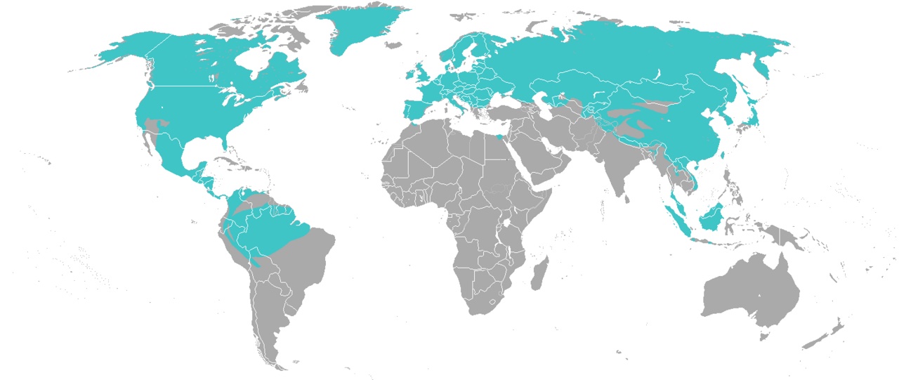 A map showing where weasels live around the world.
