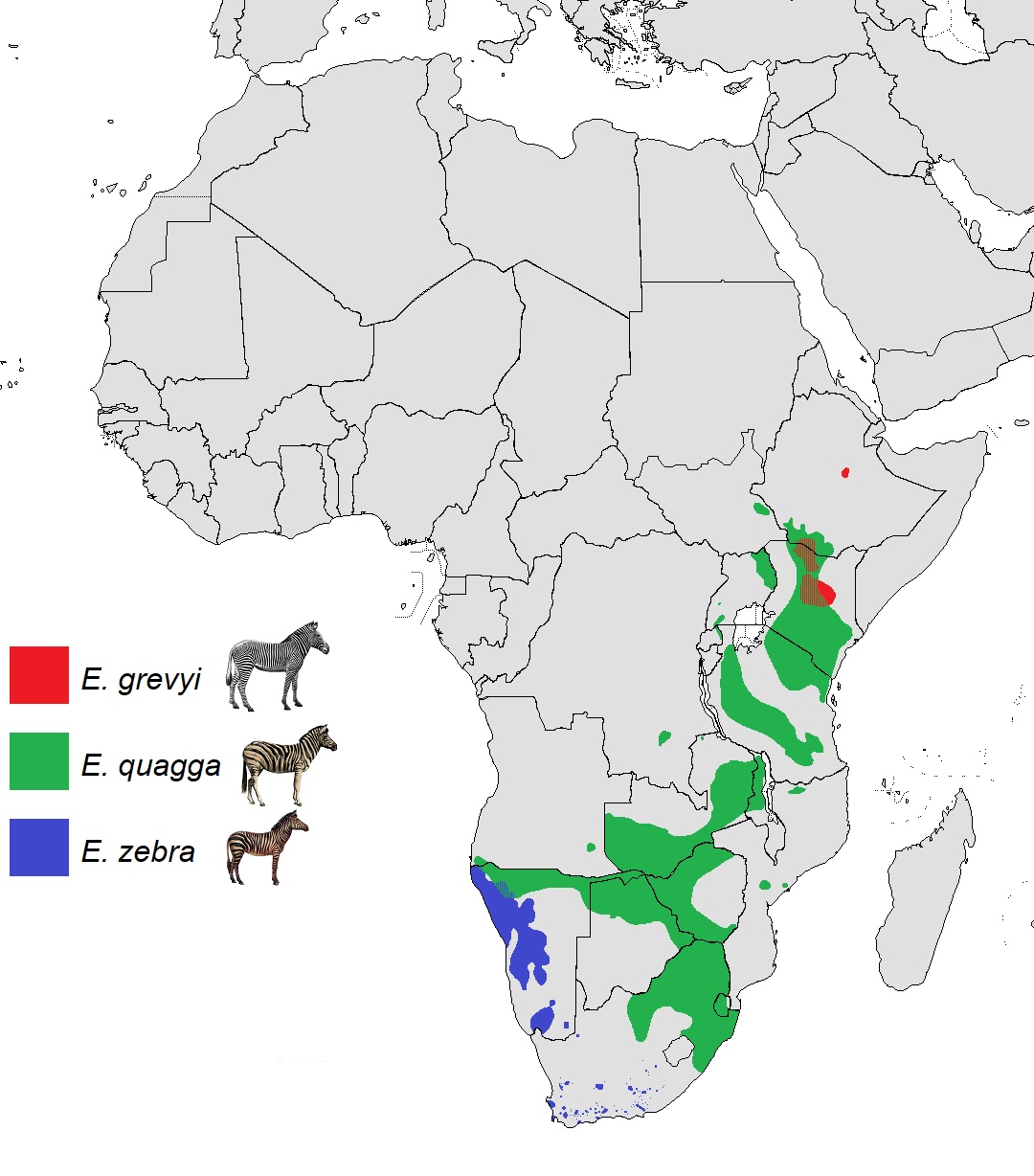 A map showing where zebras live in Africa.