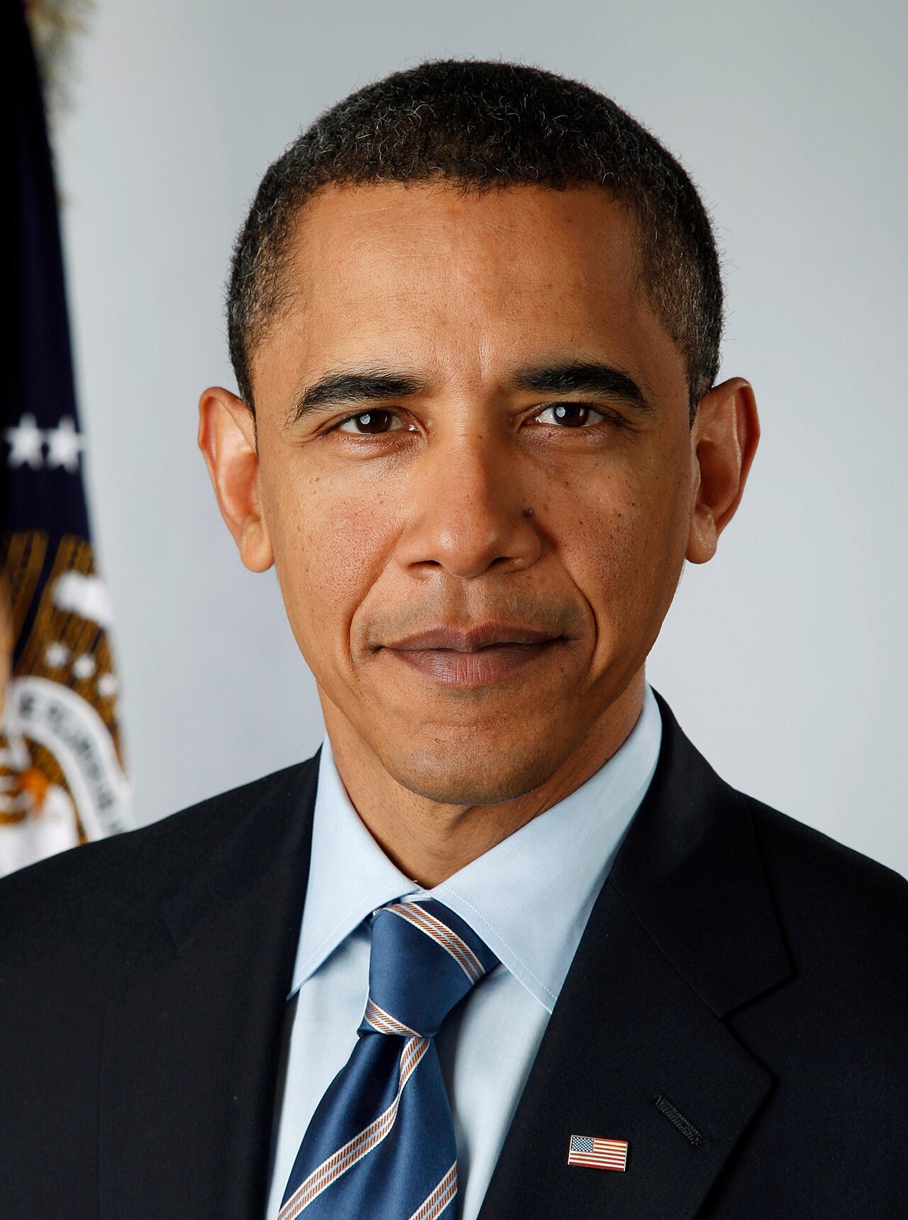 The official presidential portrait of Barack Obama.