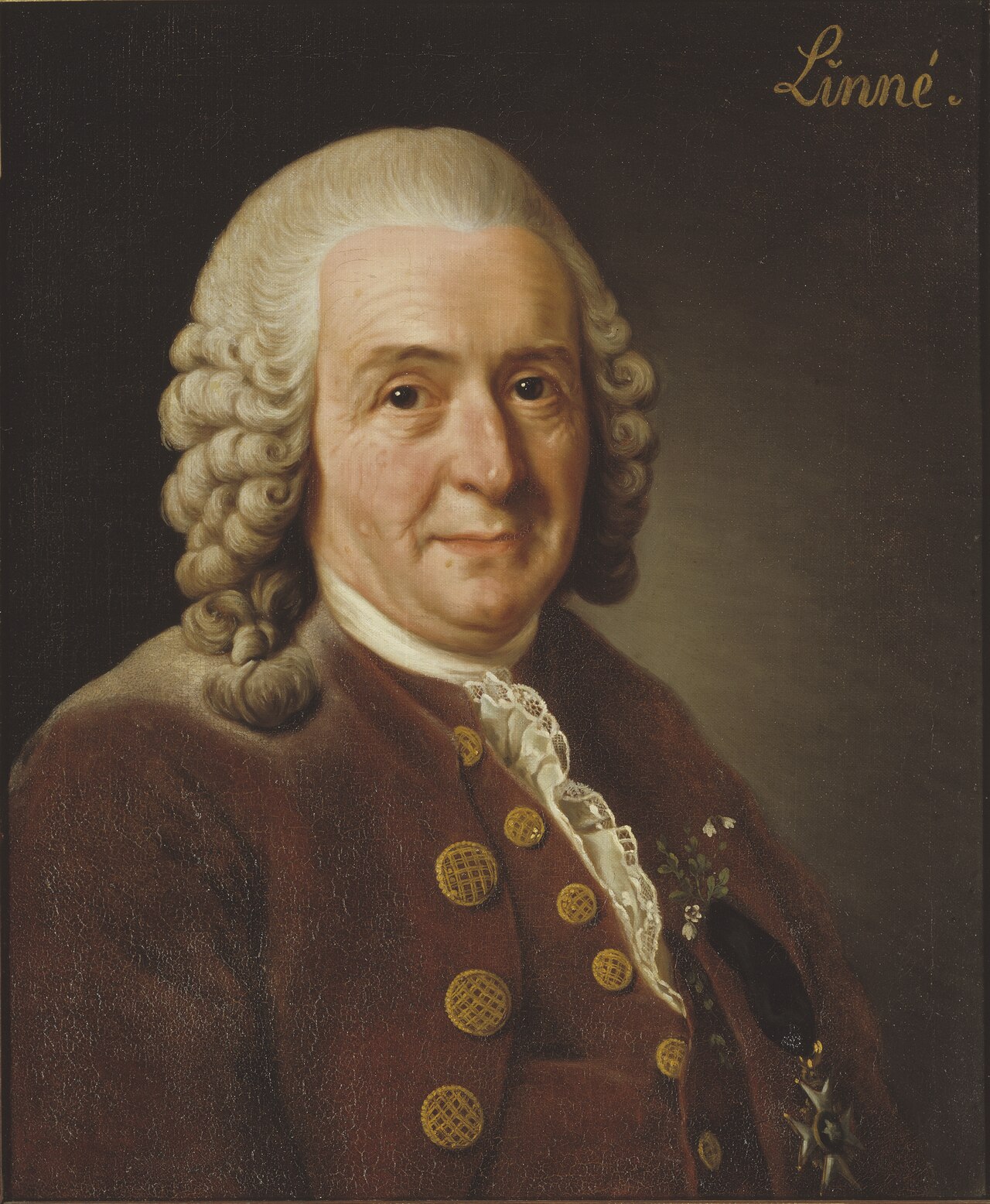A portrait of plant scientist Carl Linnaeus.