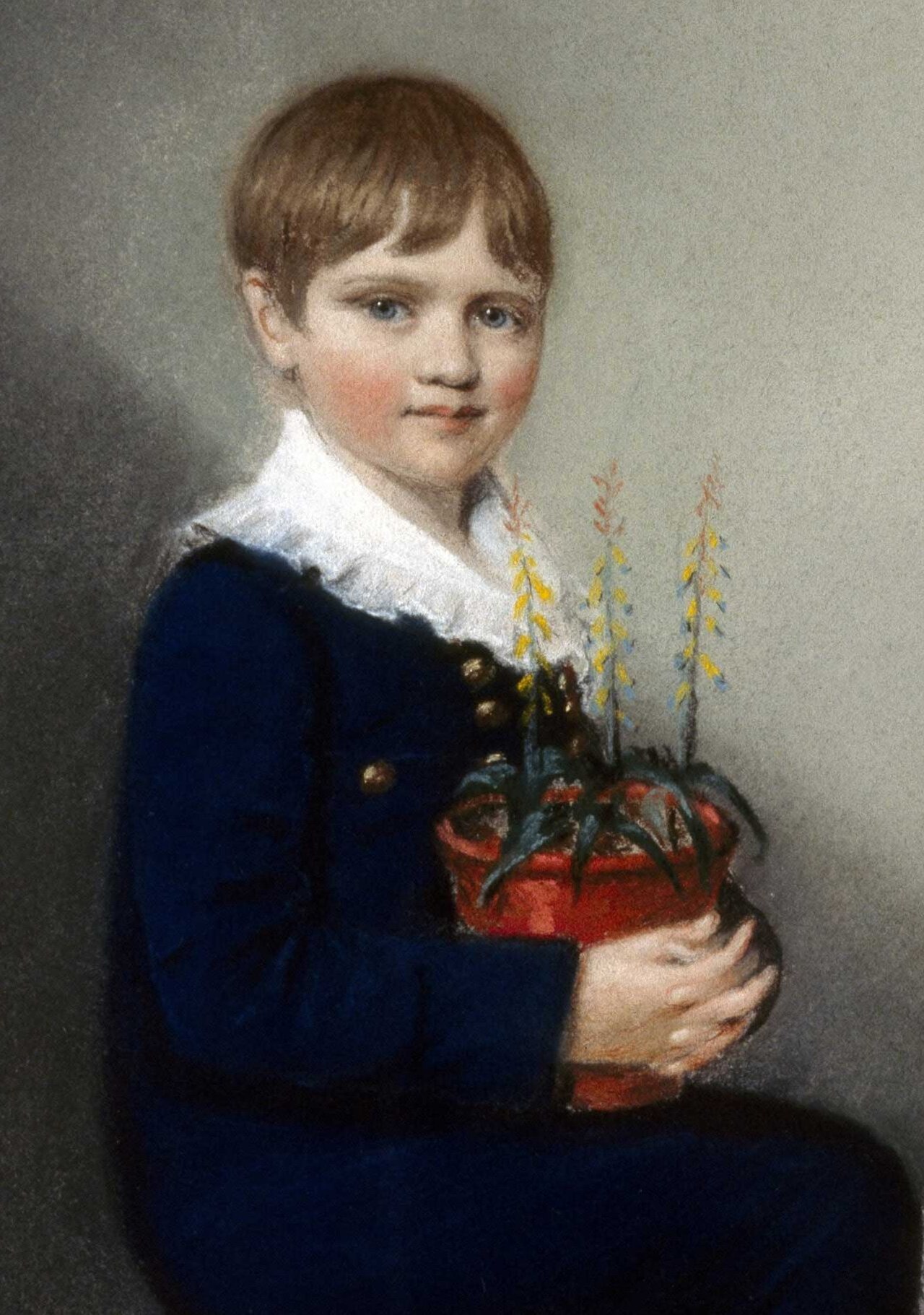 A chalk drawing of Charles Darwin as a seven-year-old boy.