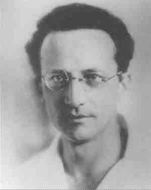 A photograph of physicist Erwin Schrodinger as a young scientist.