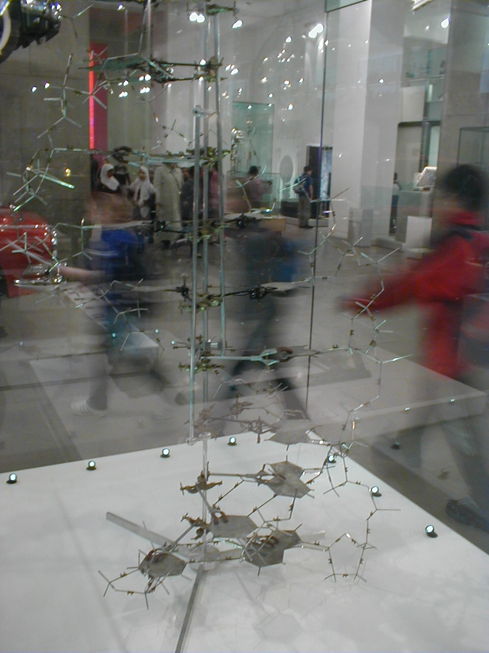 The first model of DNA built by Watson and Crick in 1953.