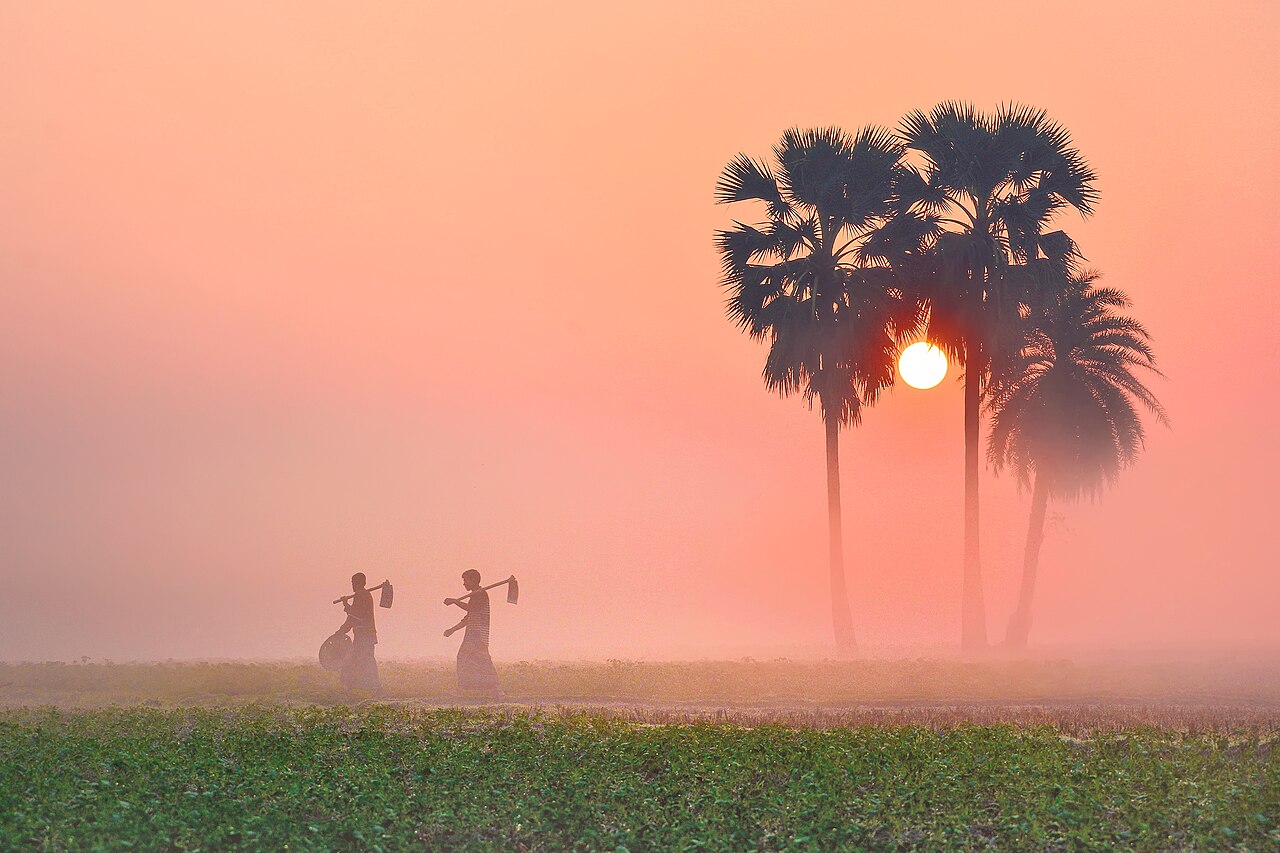 Fog