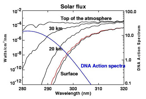 A diagram shows how the ozone layer blocks harmful sun rays.