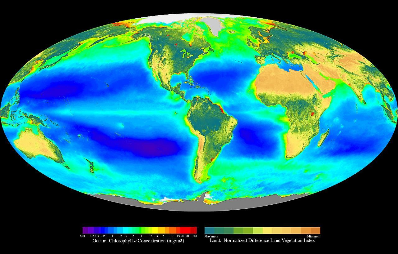 A satellite map shows green plants growing all around the Earth.