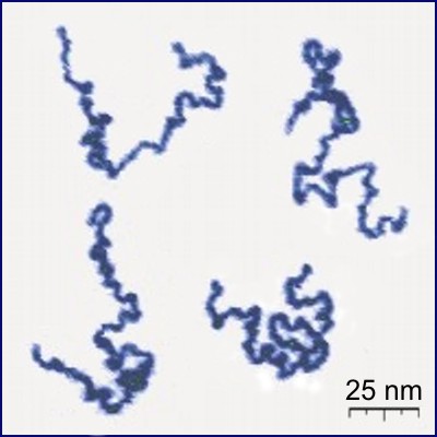Polymers
