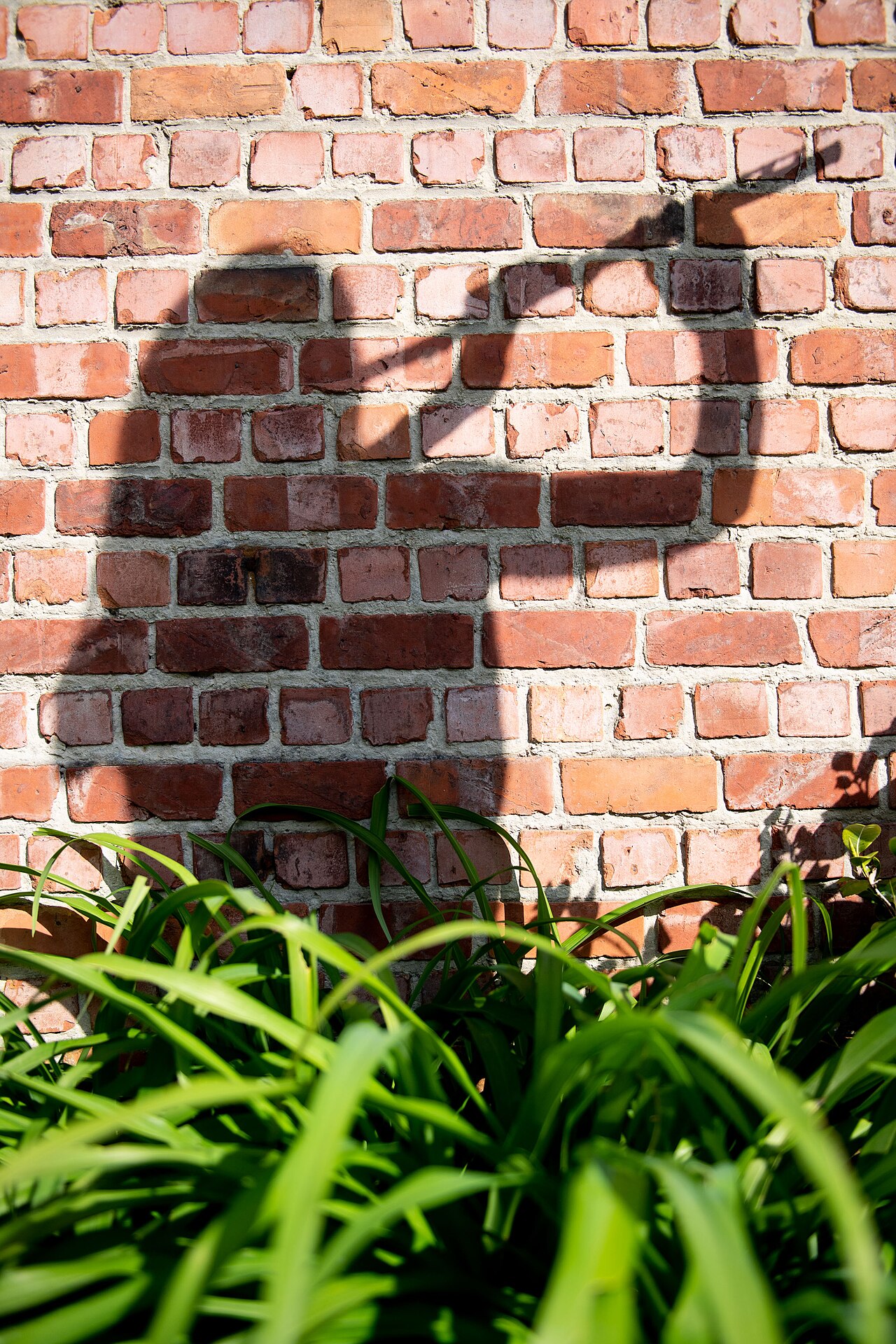 Shadows