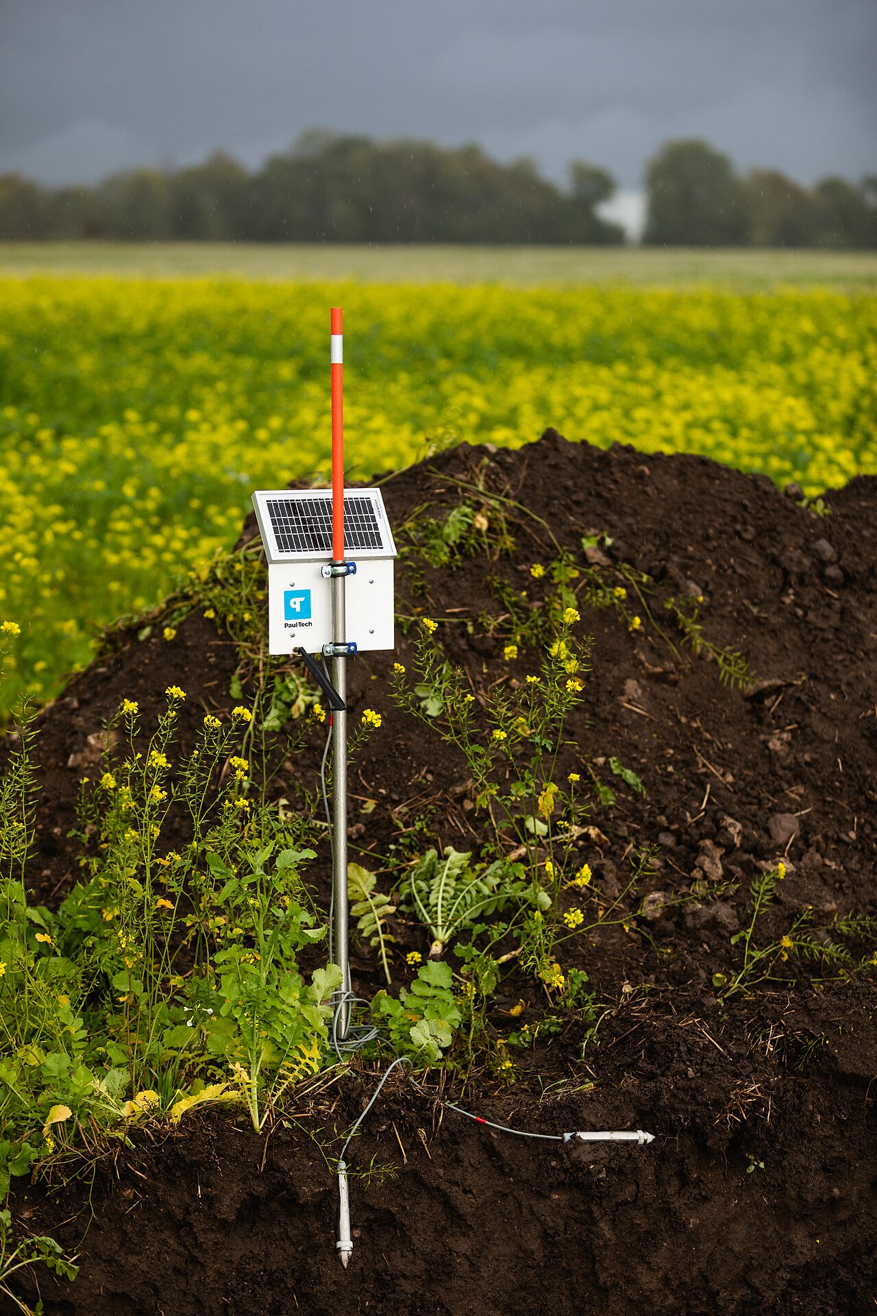 Farmers check the soil in a field using smart tools.