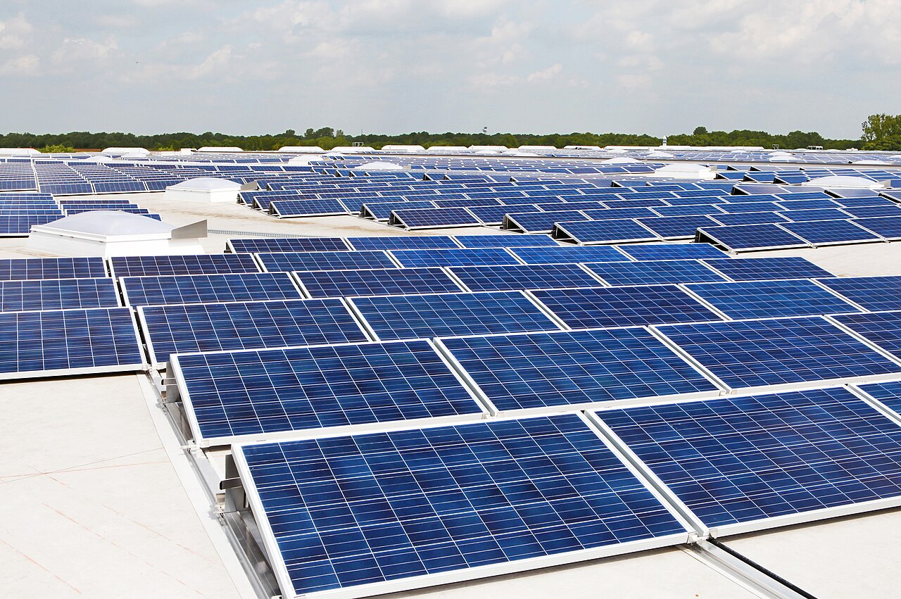 Rows of shiny solar panels soak up sunshine on a big rooftop.