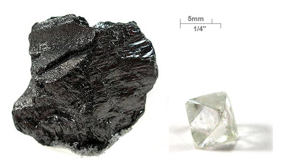The Carbon Atom