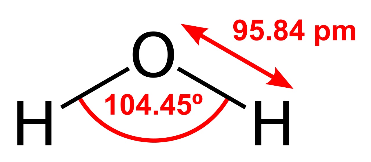 The Water Molecule