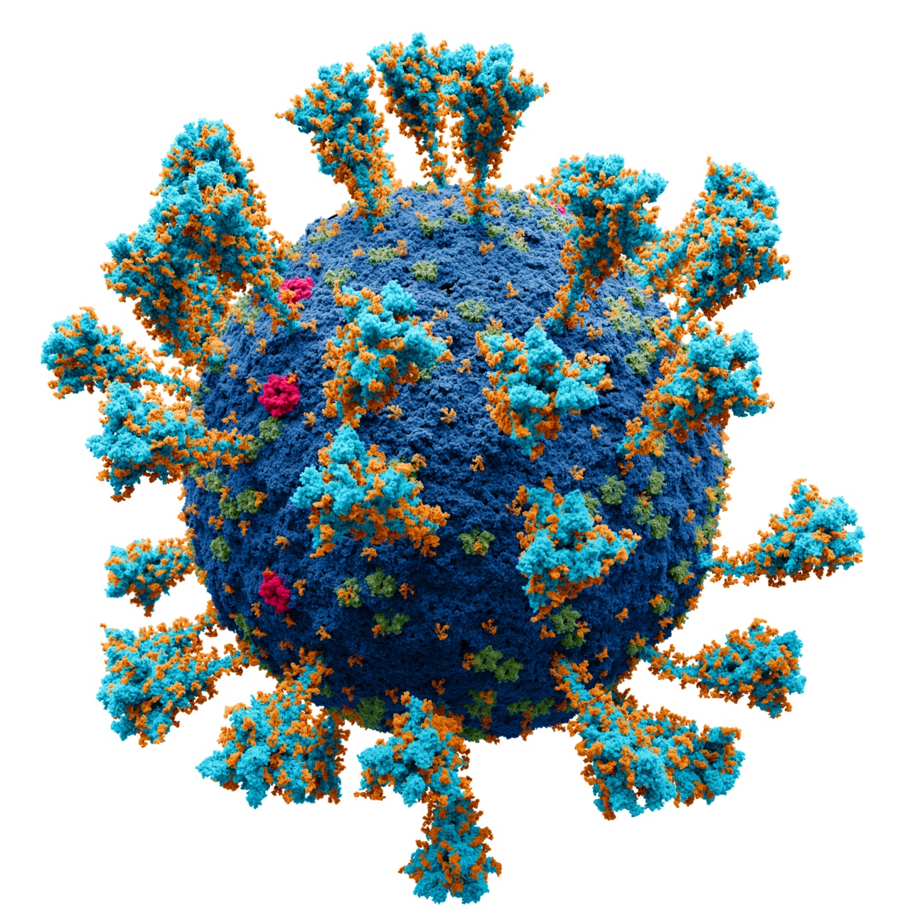 Viruses