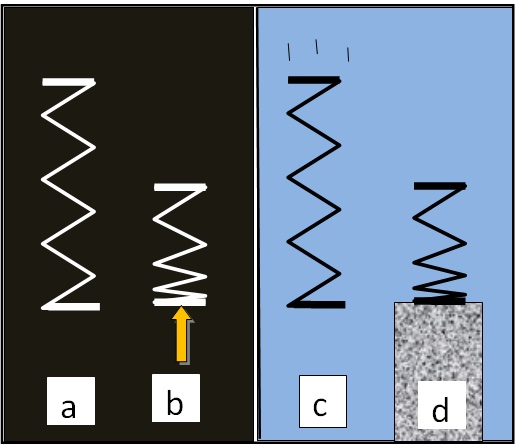 A simple drawing showing how gravity pulls a spring down as it falls.