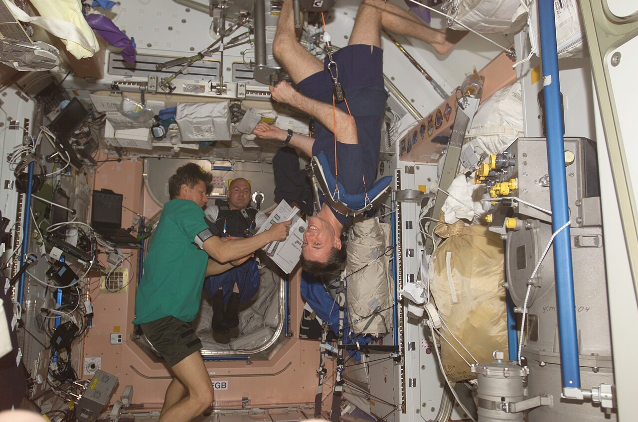 Gravity in Space