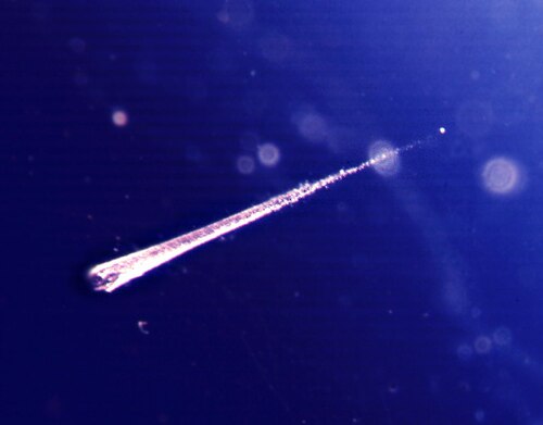A tiny space rock caught inside a special spongy gel used by scientists.