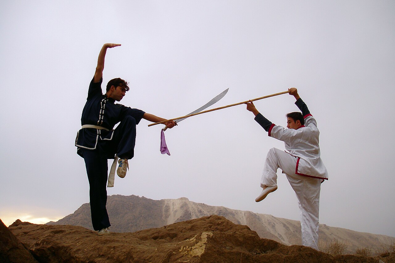 Kung fu is a Chinese word for skill earned through patient practice.
