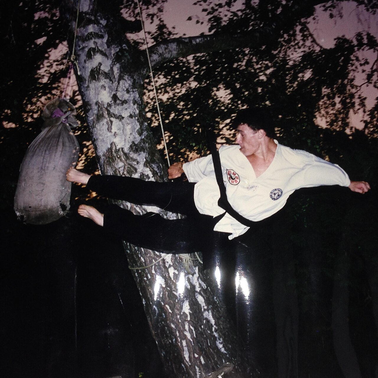 A skilled taekwondo master leaps high and lands a flying kick.