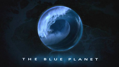 The Blue Planet dives deep to explore life in the ocean.